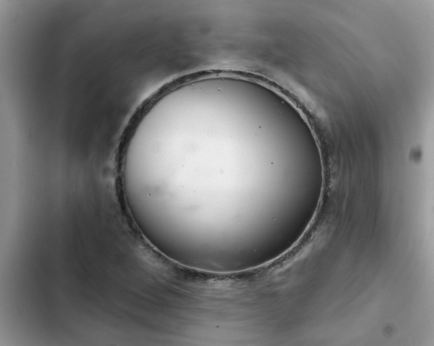 X0000102541264200808151634