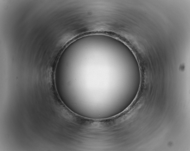 X0000102541265200808151634