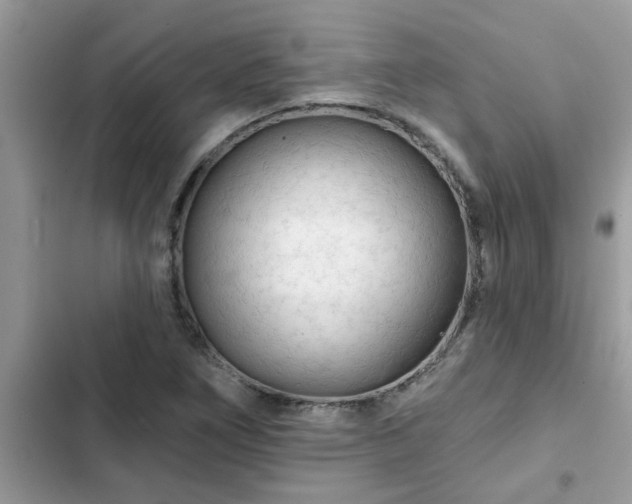 X0000102541266200808151634