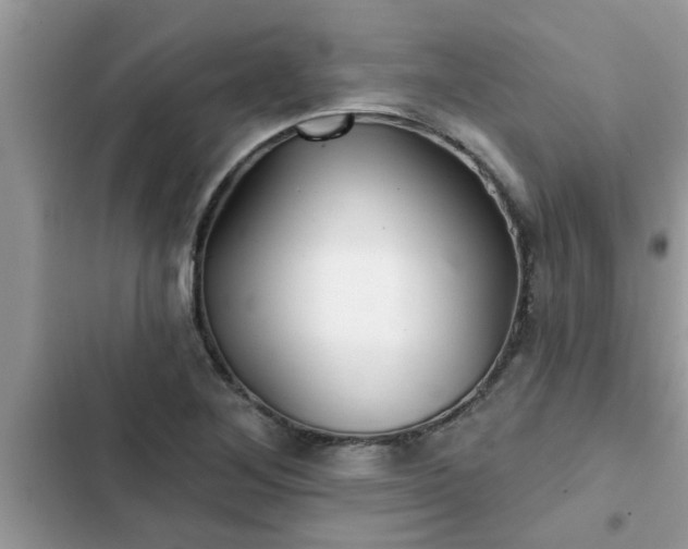 X0000102541268200808151634