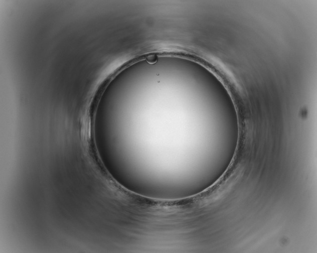 X0000102541269200808151634