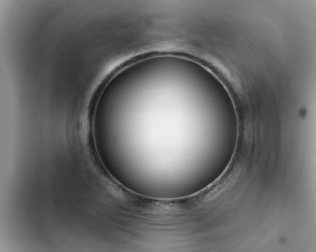 X0000102541270200808151634