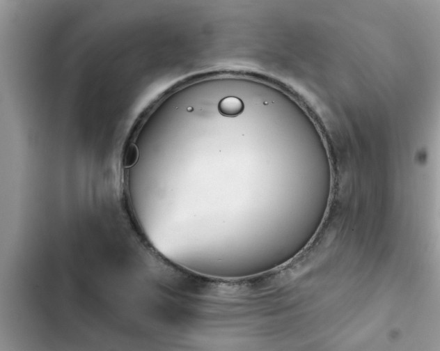 X0000102541271200808151634