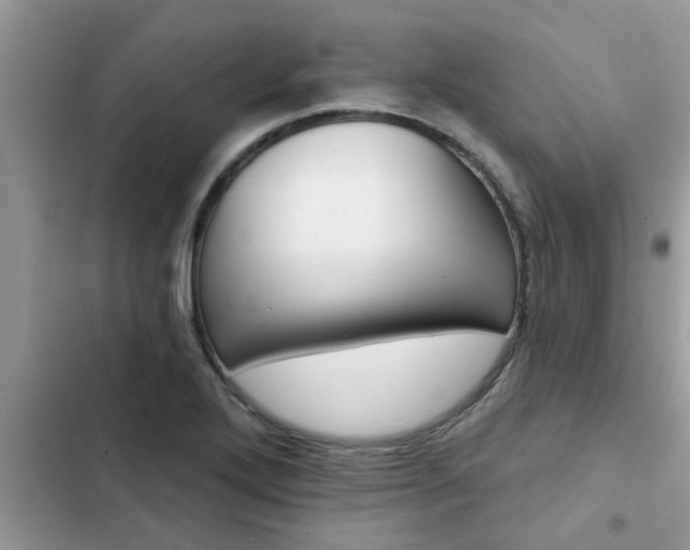 X0000102541272200808151634