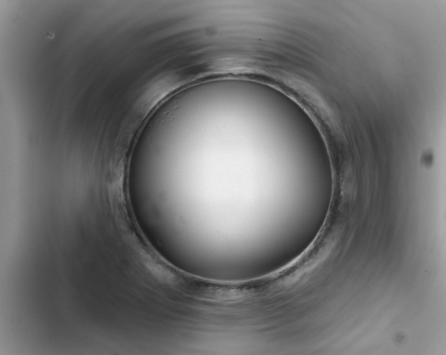 X0000102541273200808151634
