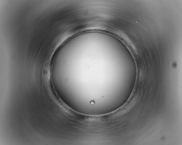 X0000102541274200808151634