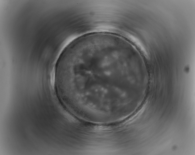 X0000102541275200808151634