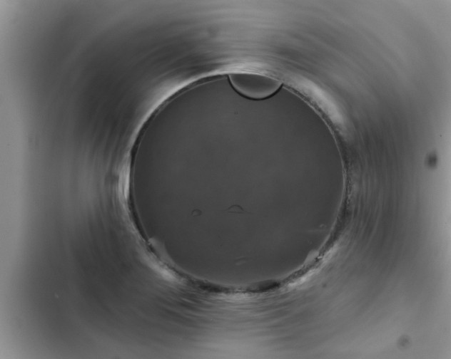 X0000102541276200808151634