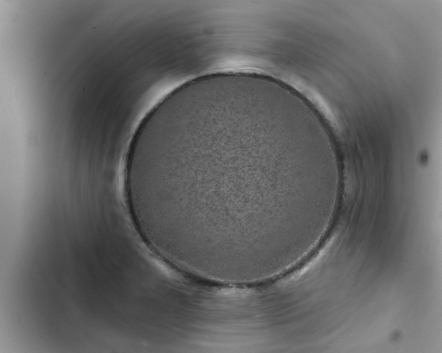 X0000102541277200808151634