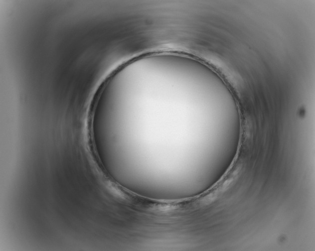 X0000102541278200808151634