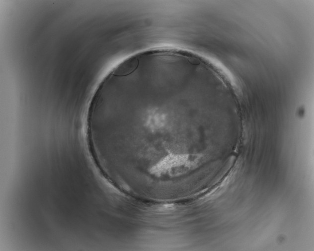 X0000102541279200808151634