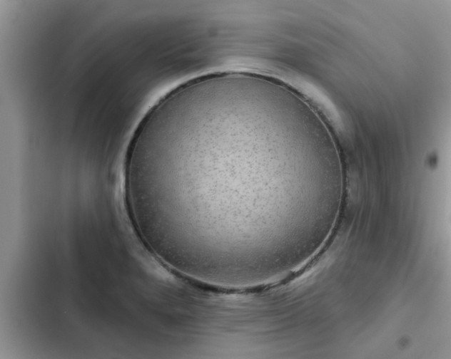 X0000102541280200808151634