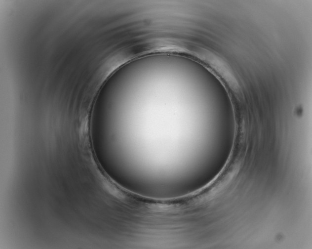 X0000102541281200808151634