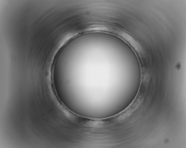 X0000102541282200808151634