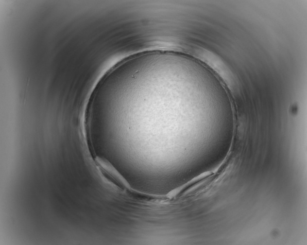 X0000102541283200808151634