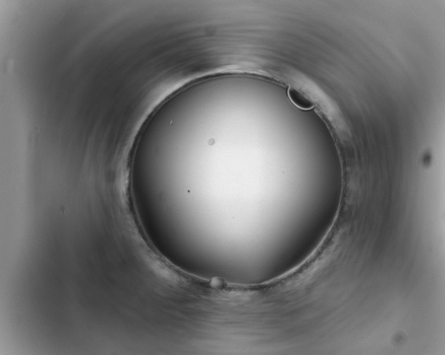 X0000102541284200808151634