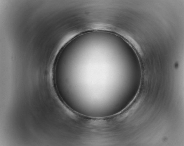 X0000102541285200808151634