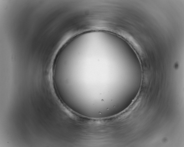 X0000102541286200808151634