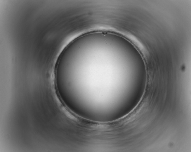 X0000102541287200808151634