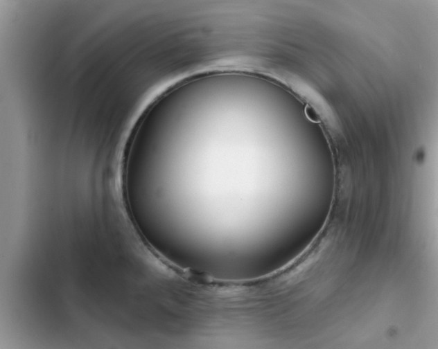 X0000102541288200808151634