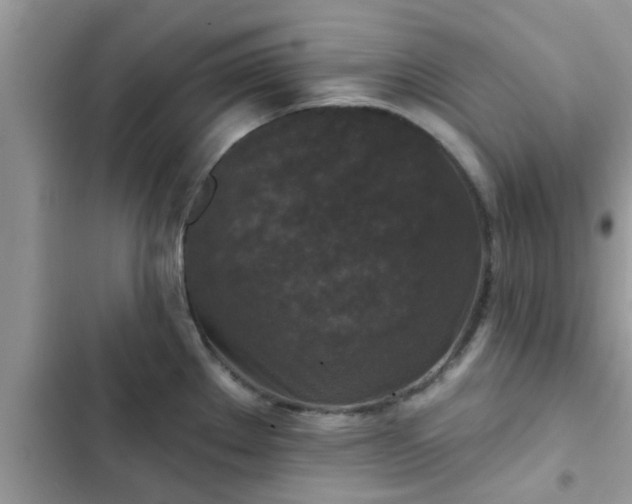 X0000102541289200808151634