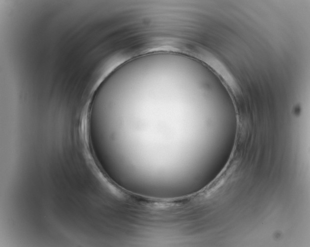 X0000102541290200808151634