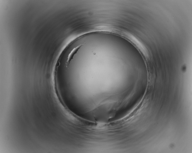 X0000102541291200808151634