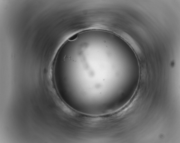 X0000102541292200808151634