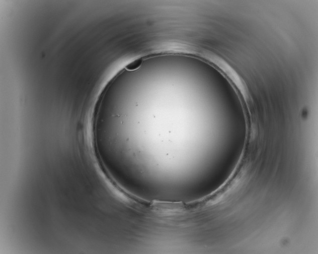 X0000102541293200808151634