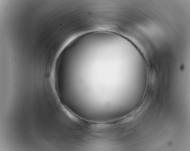 X0000102541294200808151634