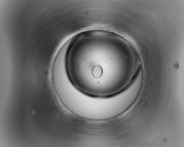 X0000102541296200808151634