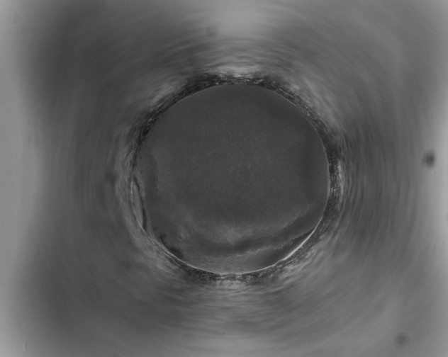 X0000102541297200808151633