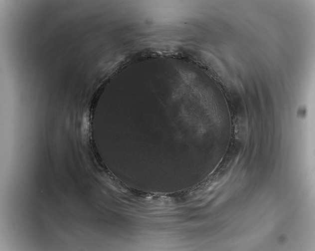 X0000102541298200808151633