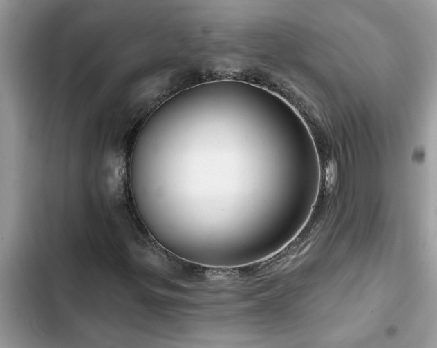 X0000102541299200808151633