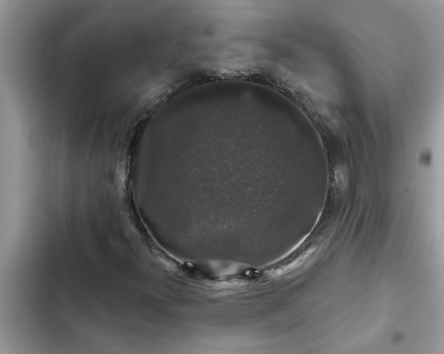 X0000102541300200808151633