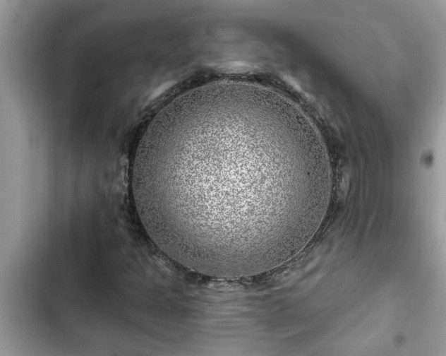 X0000102541301200808151633