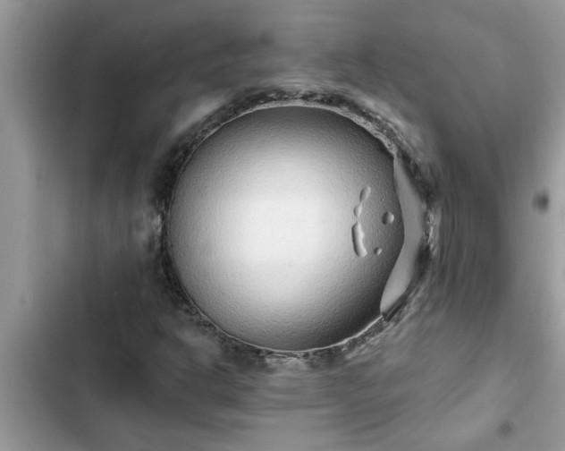 X0000102541302200808151633