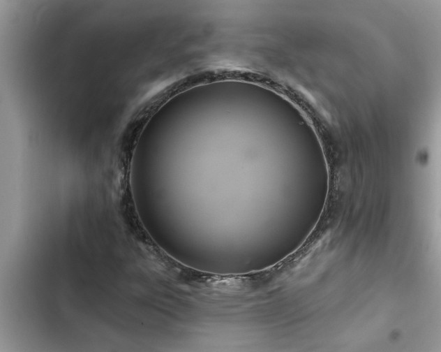 X0000102541303200808151633
