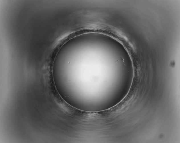 X0000102541304200808151633