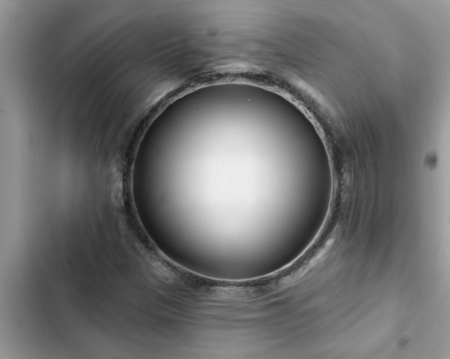 X0000102541305200808151633