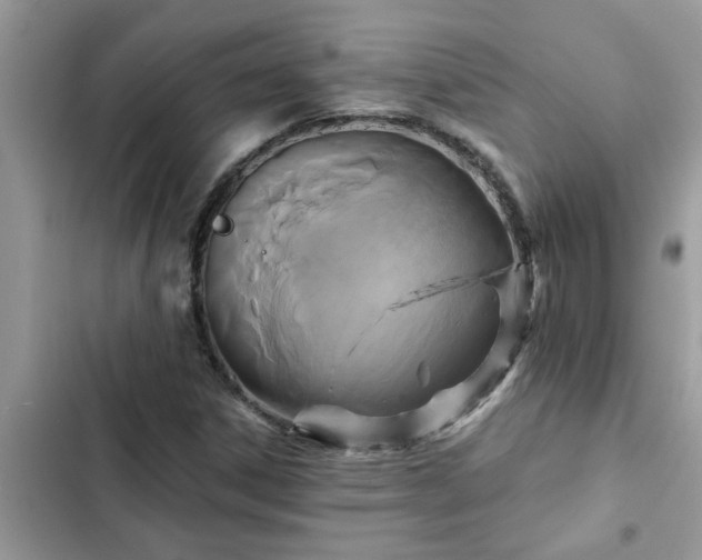 X0000102541306200808151633