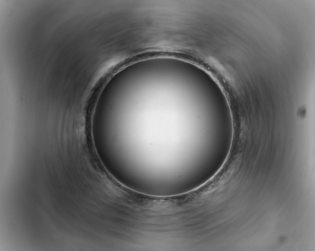 X0000102541307200808151633