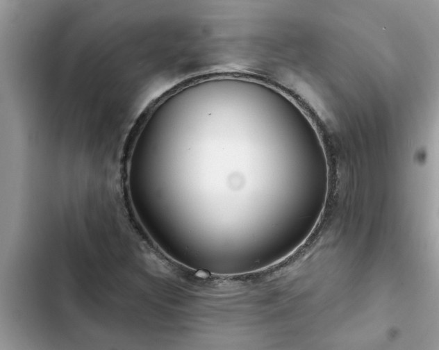 X0000102541308200808151633
