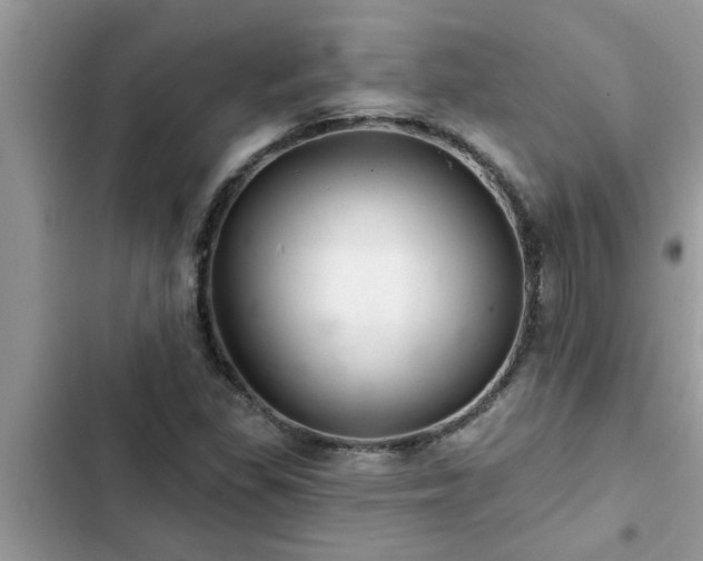 X0000102541309200808151633
