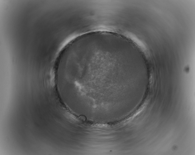 X0000102541310200808151633