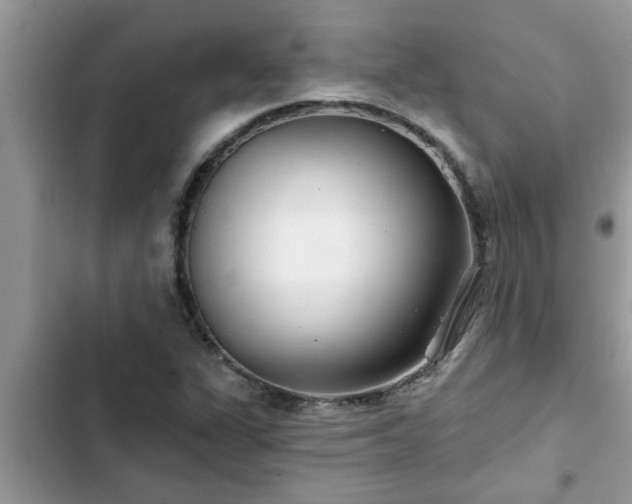 X0000102541311200808151633