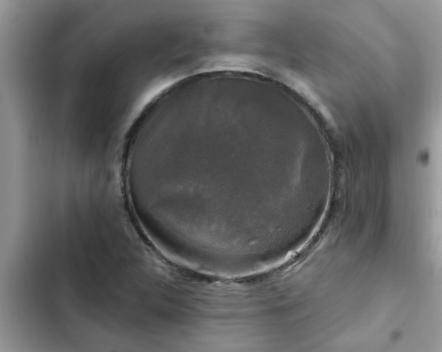 X0000102541312200808151633