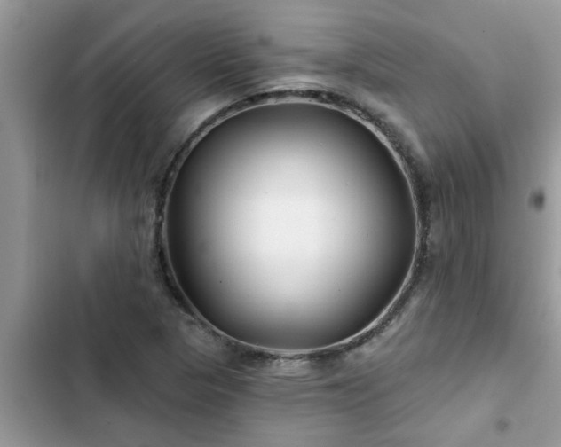X0000102541313200808151633
