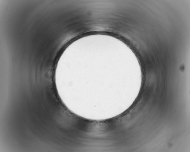 X0000102541314200808151633