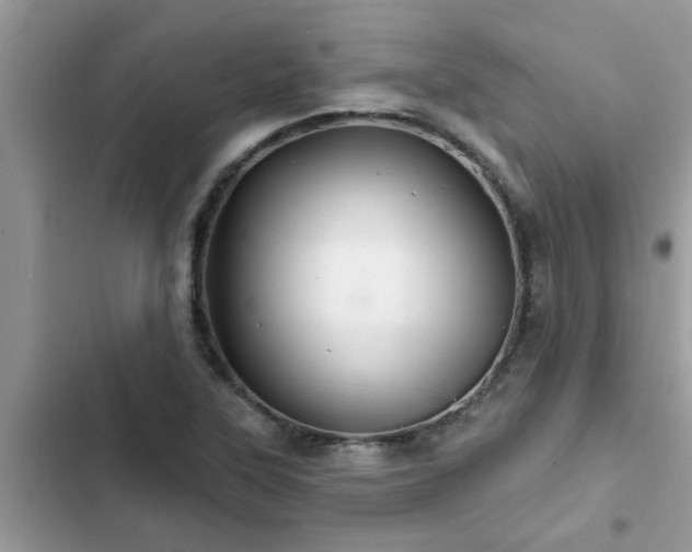 X0000102541315200808151633